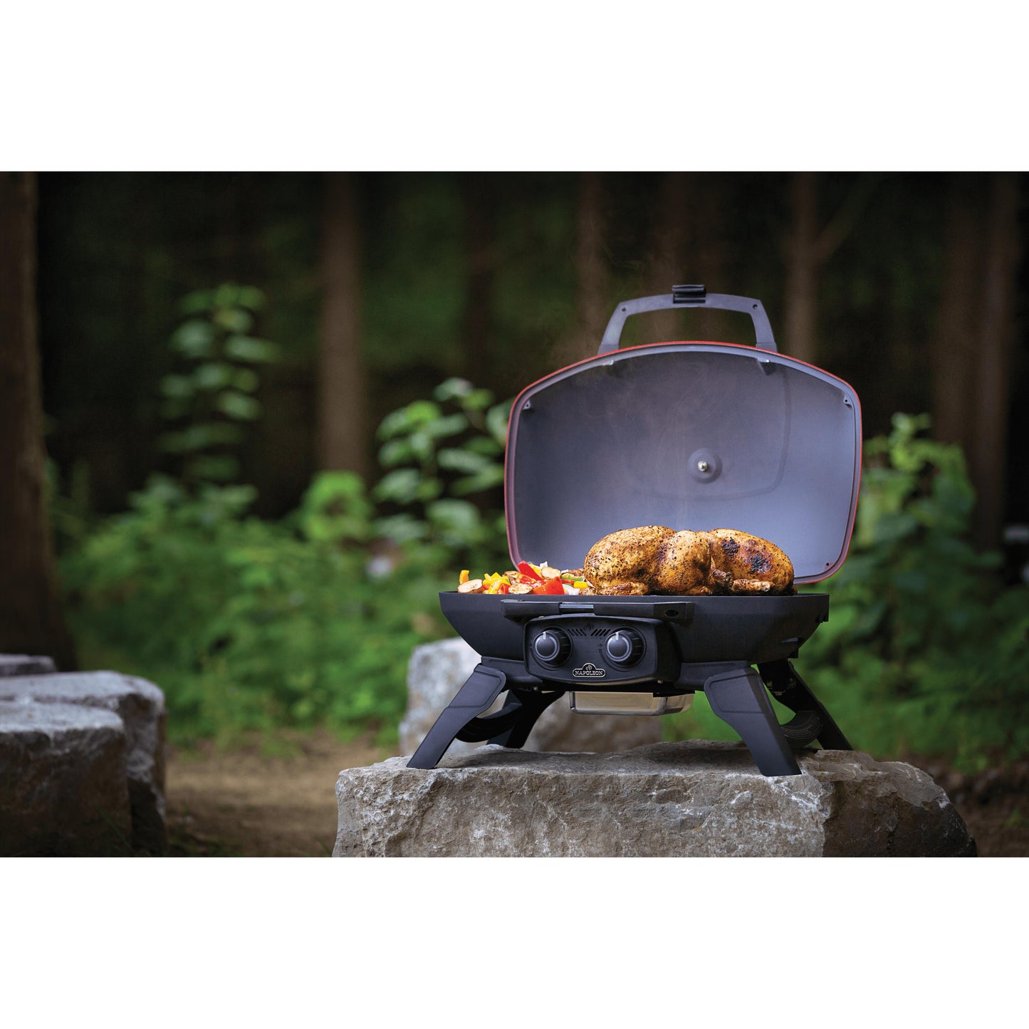 Napoleon Grills Gas Grills TQ285-RD-1-A IMAGE 3