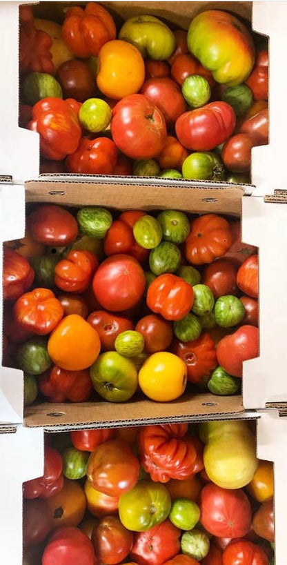 HAB Sauce - 22/23' Scotch Bonnet x Heirloom Tomato HAB Sauce Hot Sauce