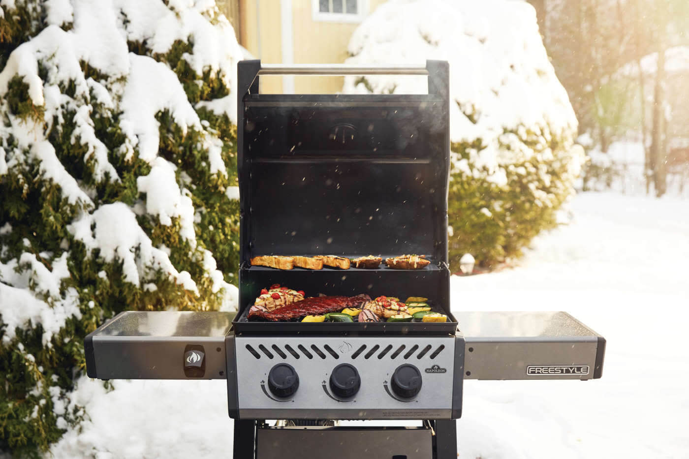 Freestyle 365 Natural Gas Grill
